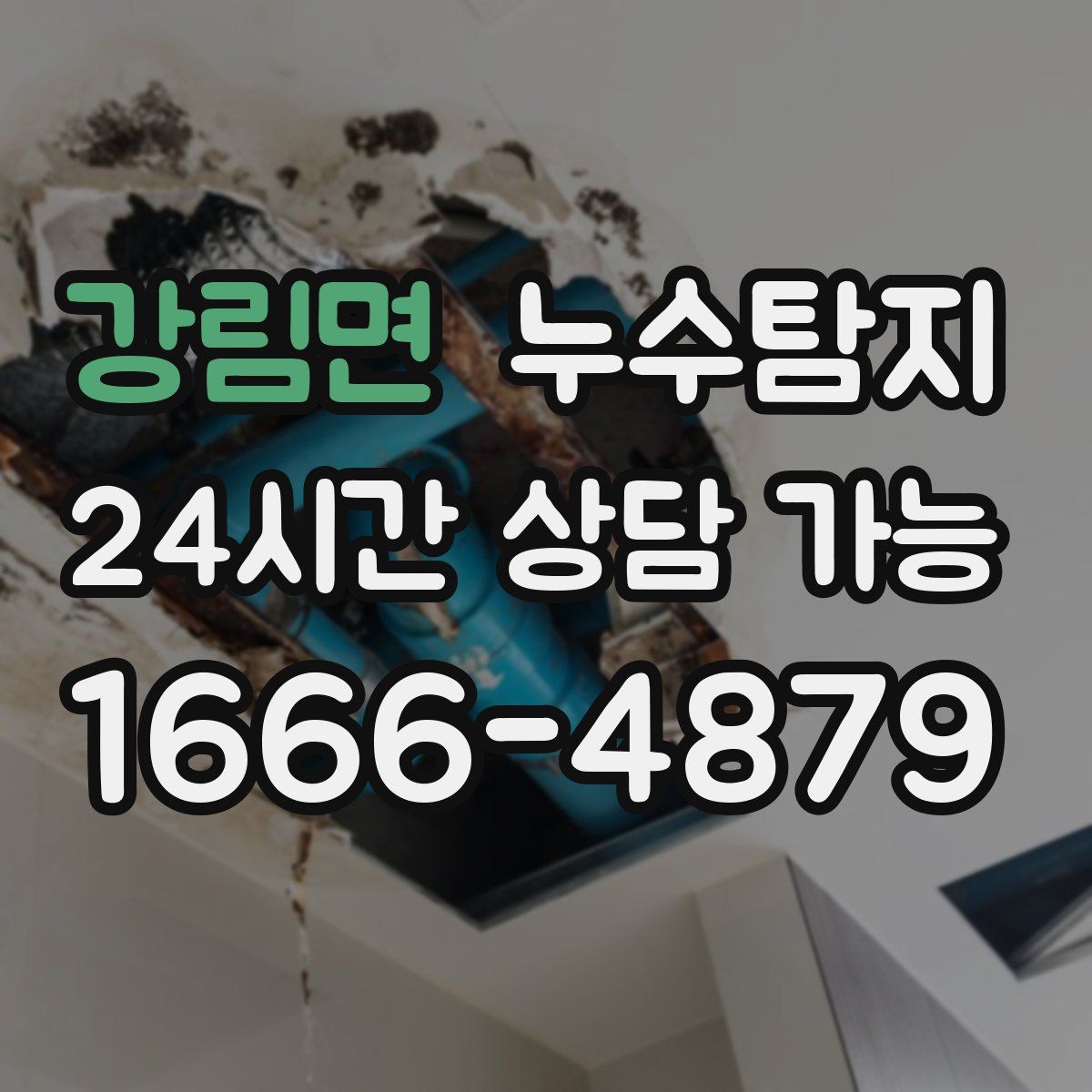 강림면 누수탐지