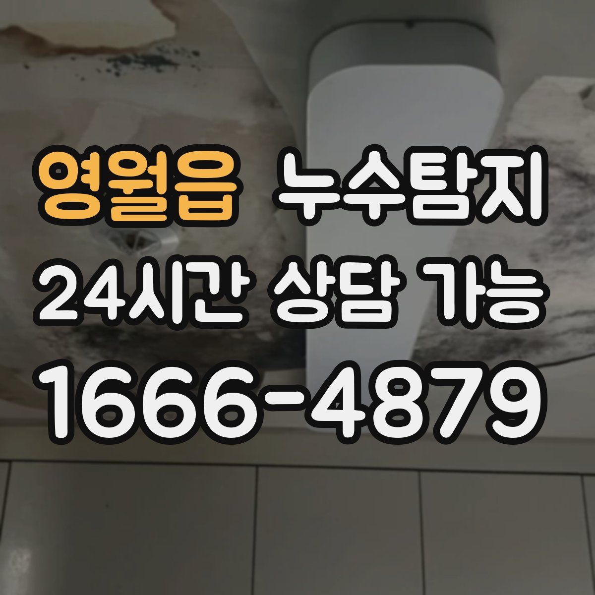 영월읍 누수탐지