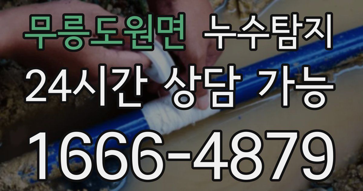 무릉도원면 누수