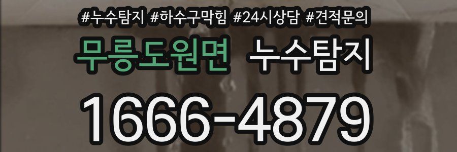 누수탐지