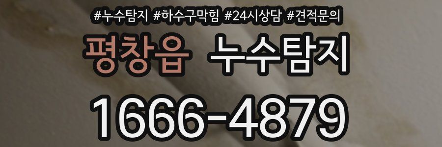누수탐지