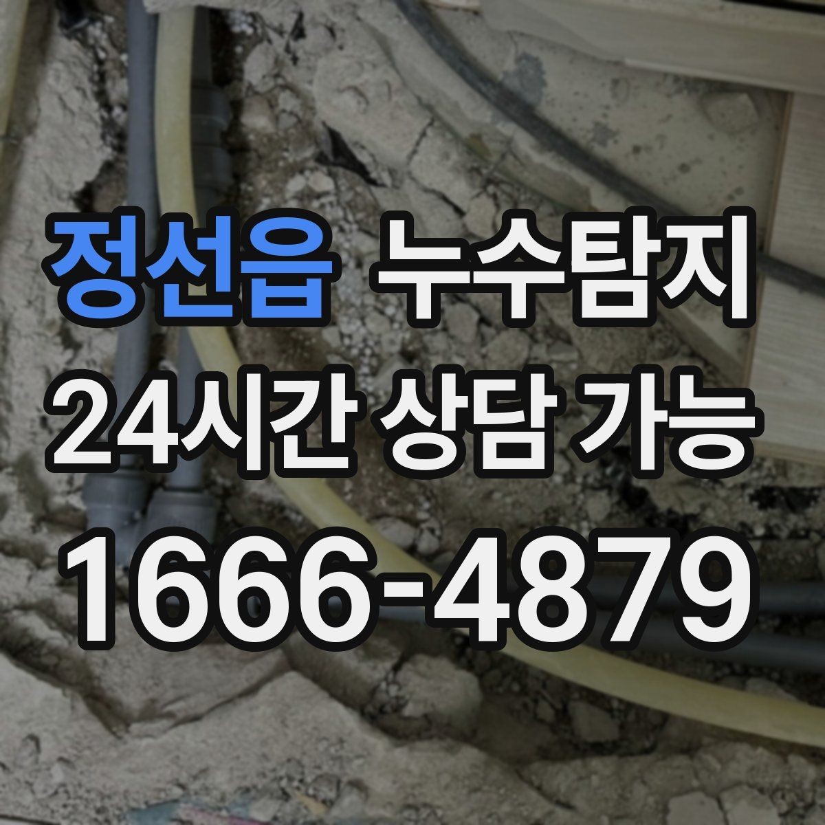 정선읍 누수탐지 당일 상담과 긴급 점검 이용 후기