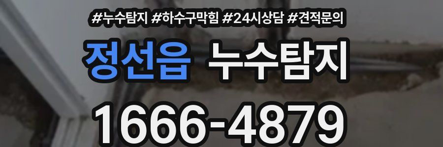 누수탐지