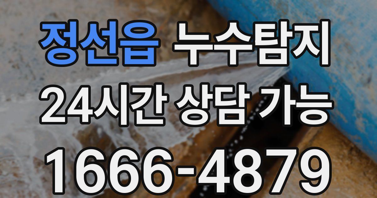 정선읍 누수