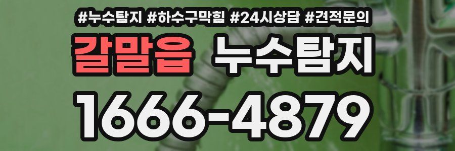 누수탐지