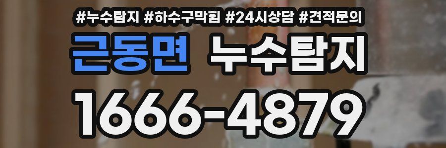 누수탐지