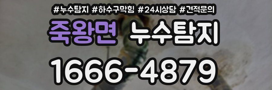 누수탐지