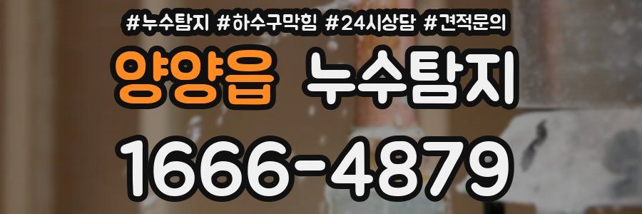 누수탐지