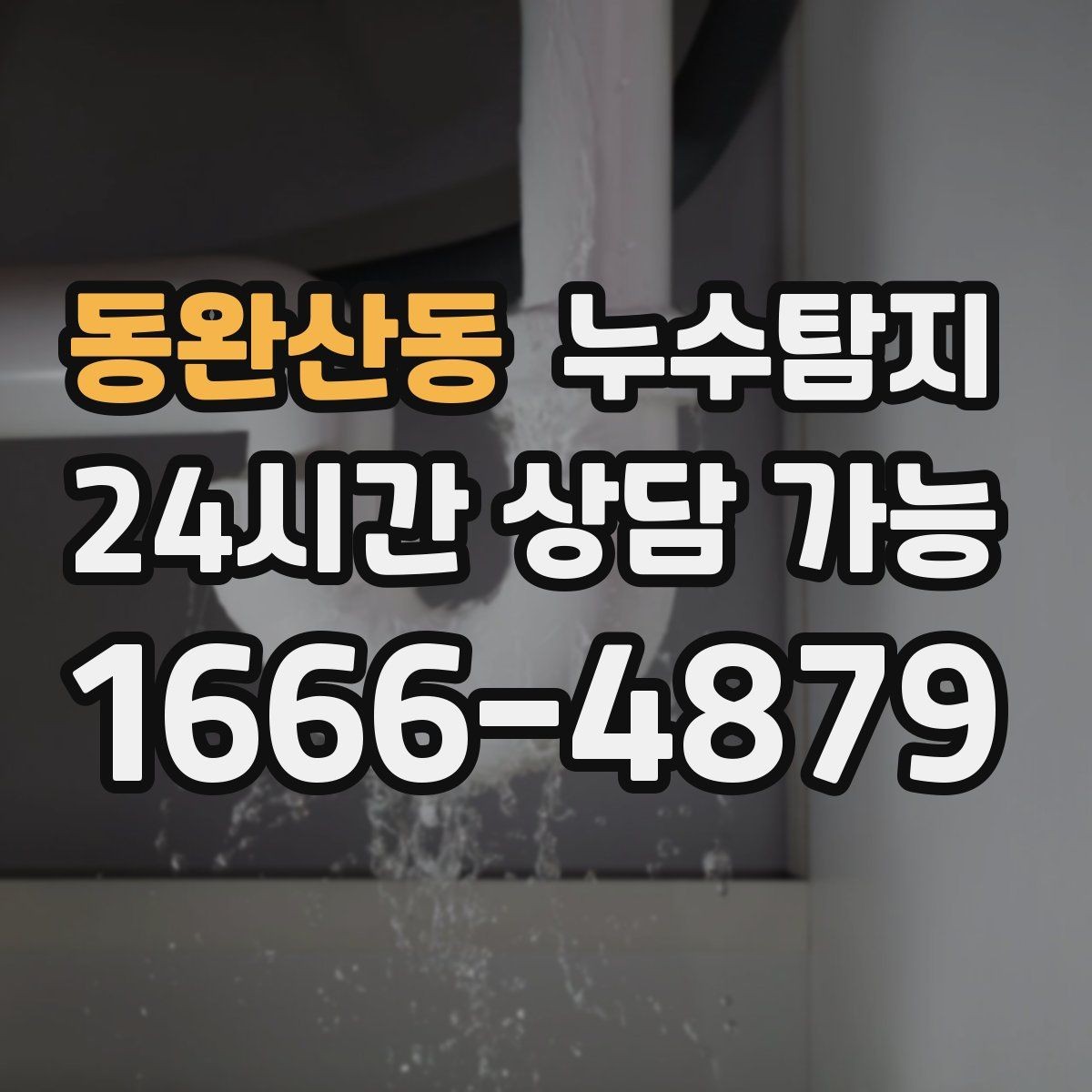 동완산동 누수탐지 욕실 곰팡이 사라진 변화 이야기