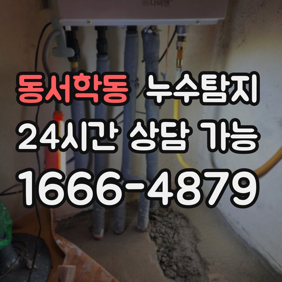 동서학동 누수탐지 우리 가족을 지킨 빠른 판단