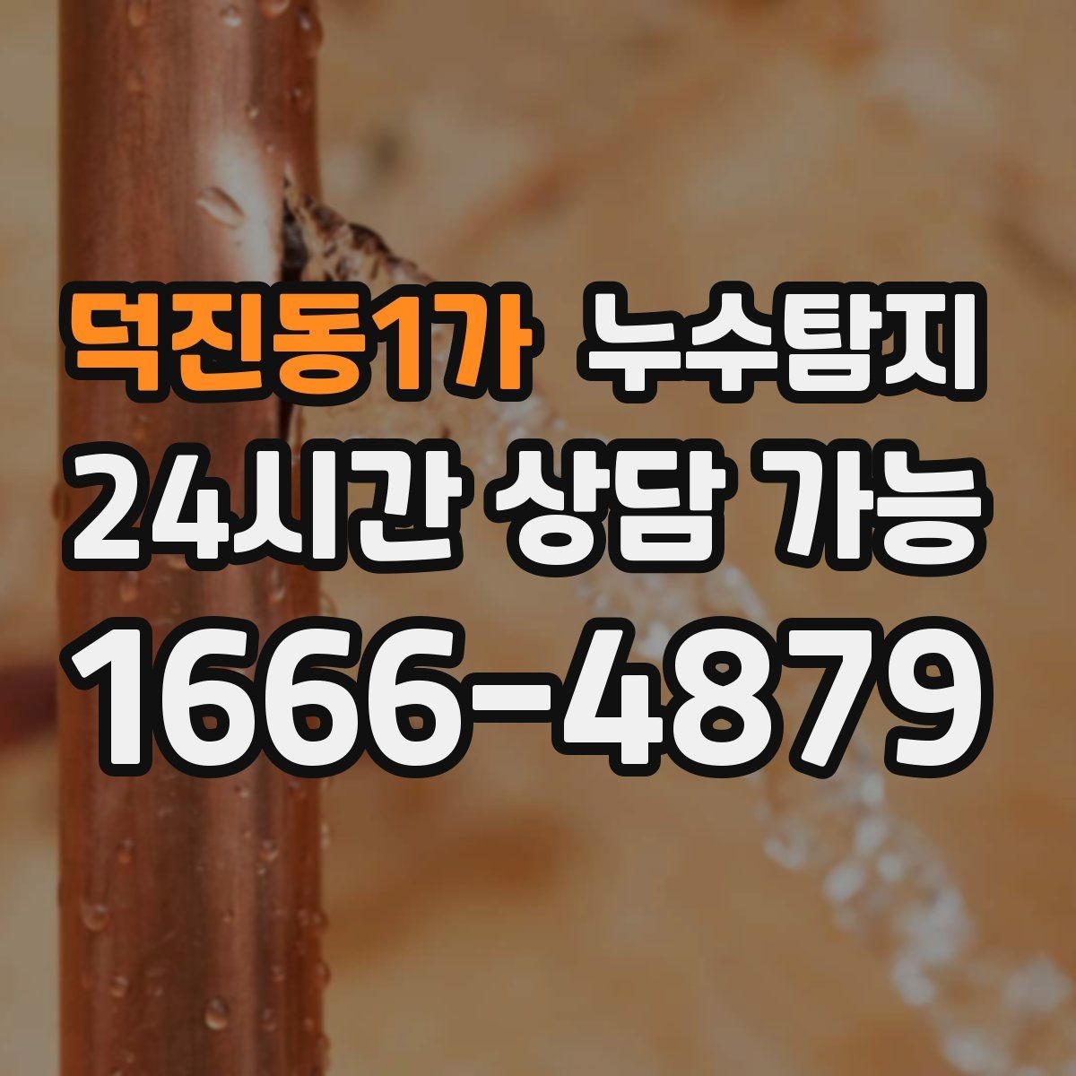 덕진동1가 누수탐지 문제로 고민이라면