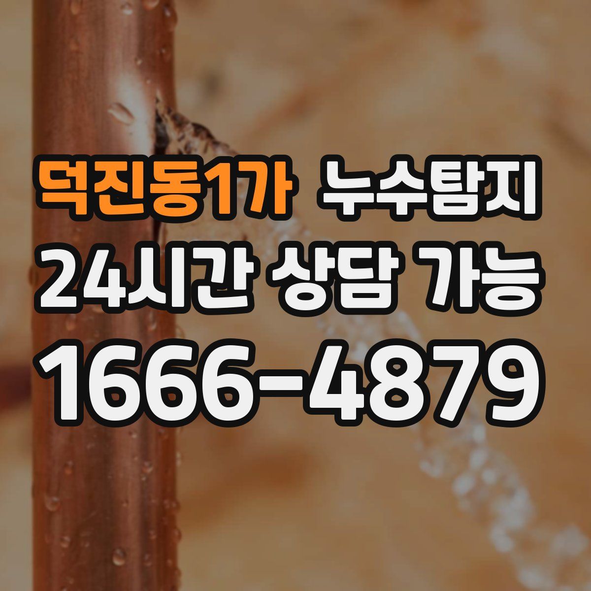 덕진동1가 누수탐지