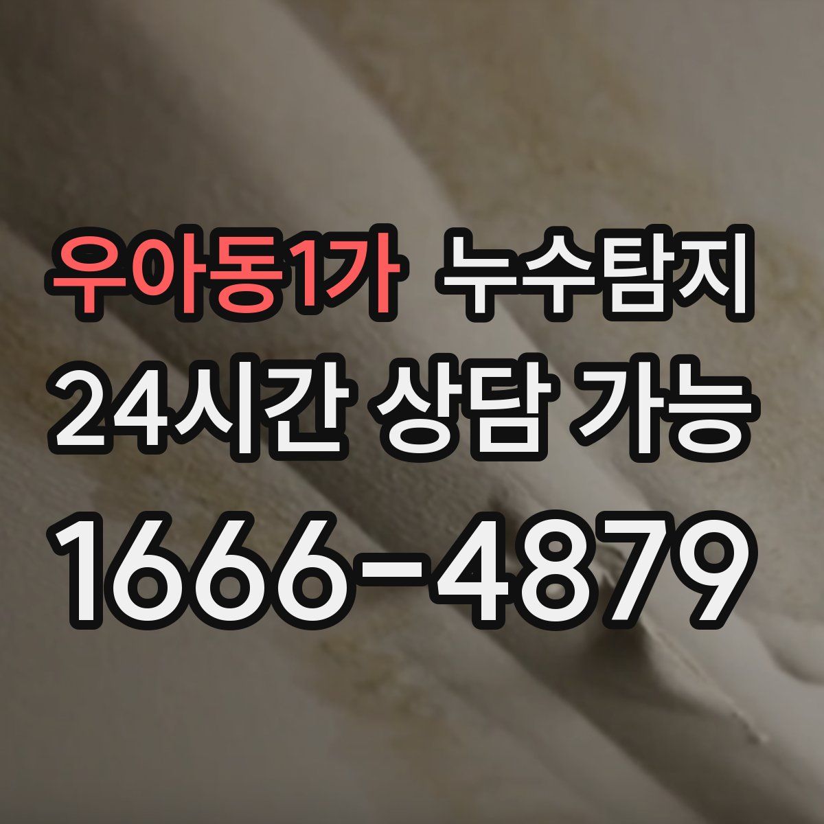 우아동1가 누수탐지