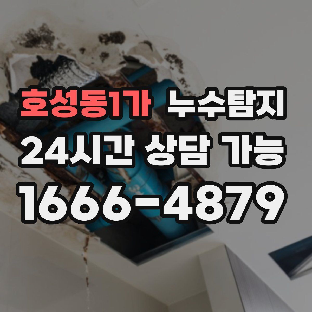 호성동1가 누수탐지