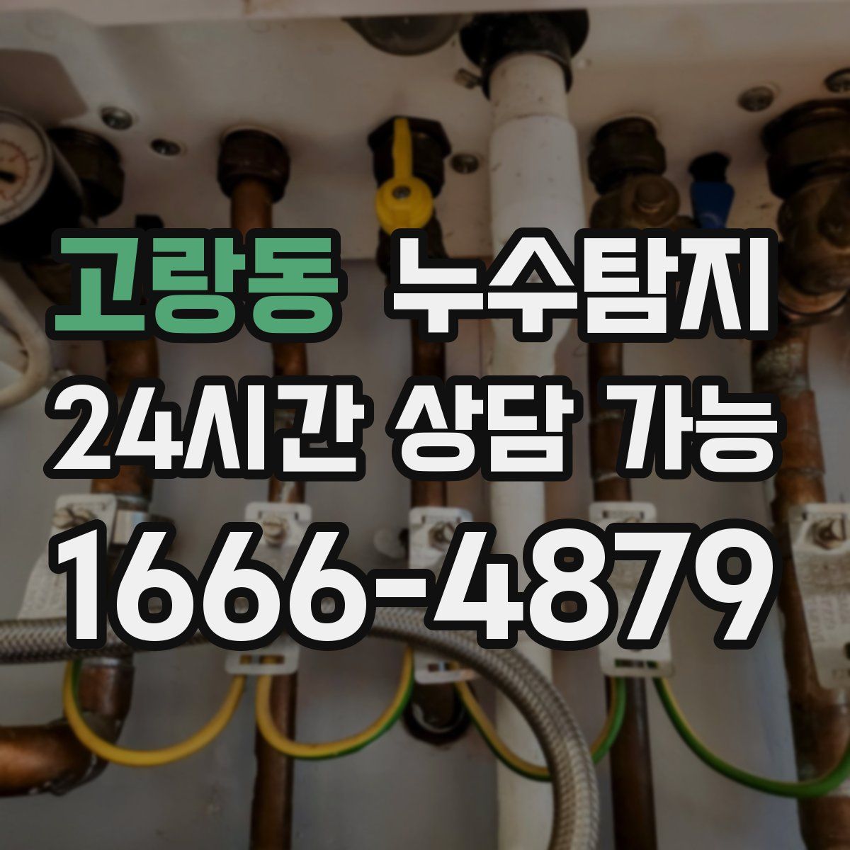 고랑동 누수탐지
