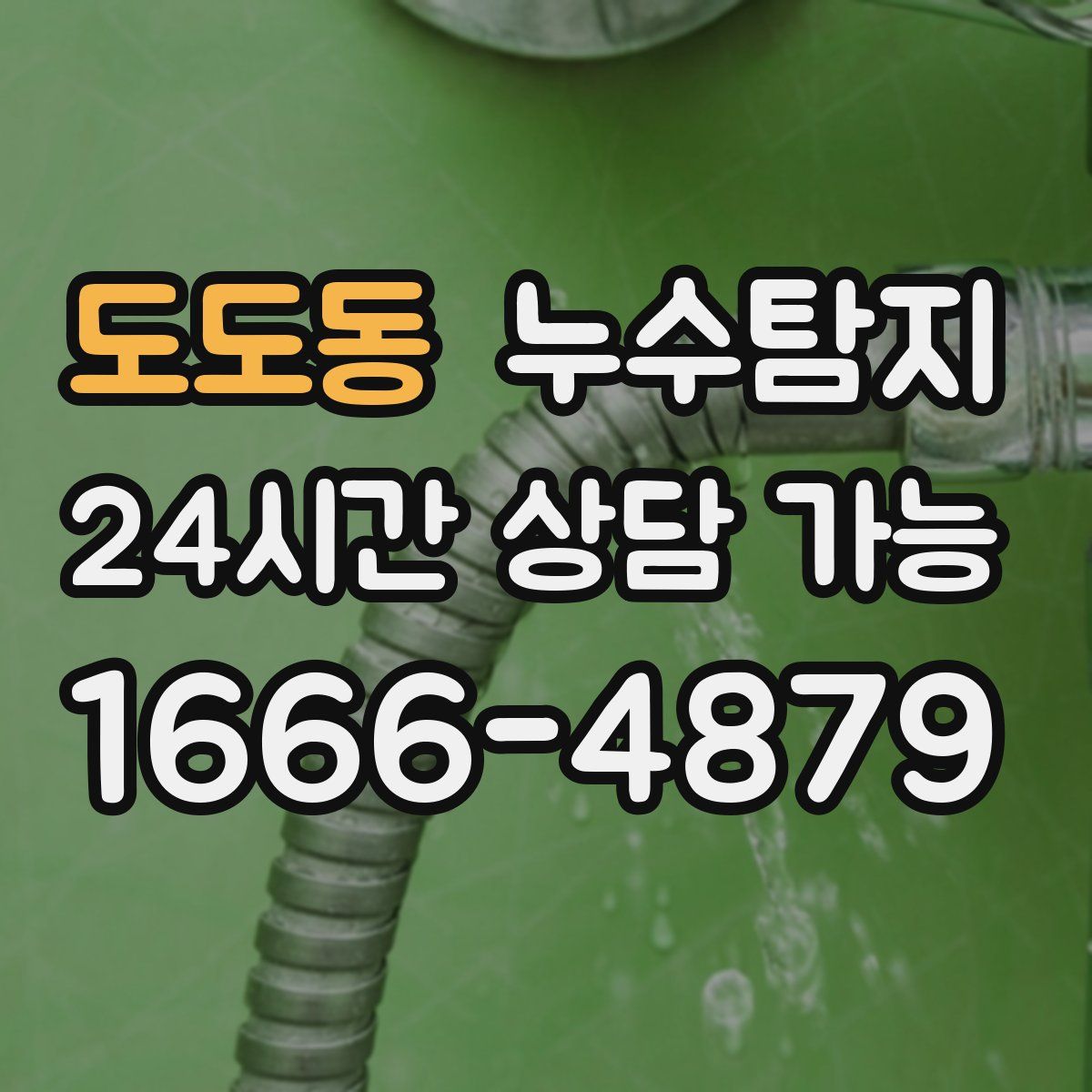도도동 누수탐지