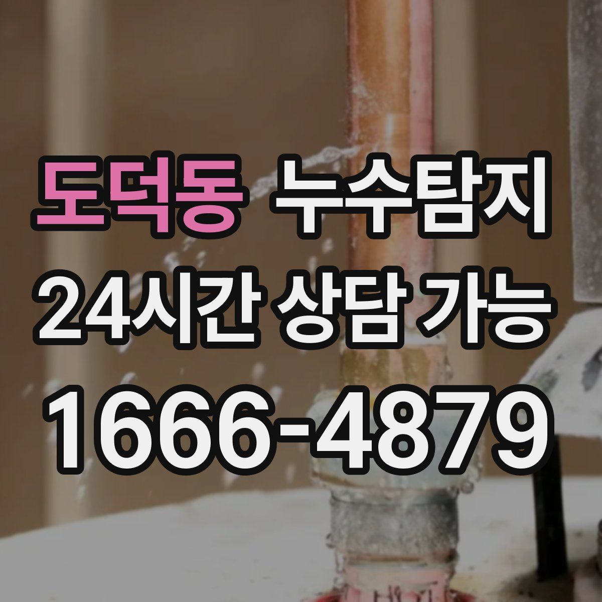 도덕동 누수탐지