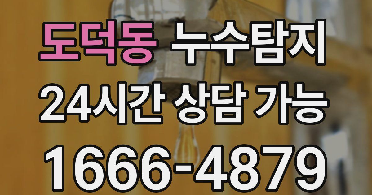 도덕동 누수