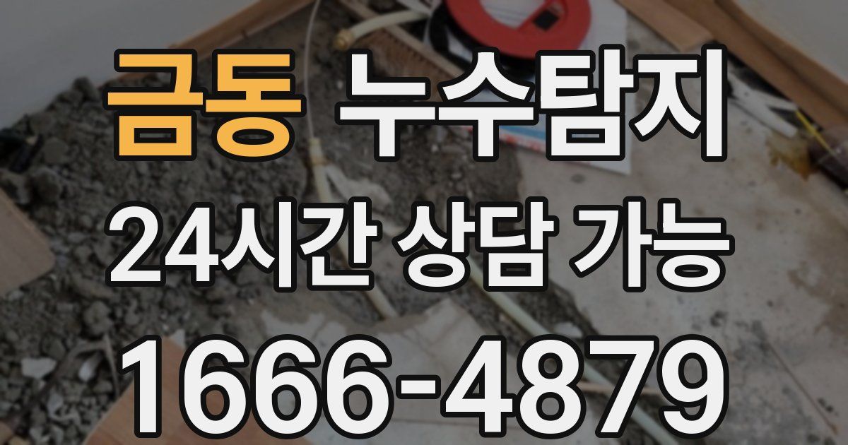 금동 누수