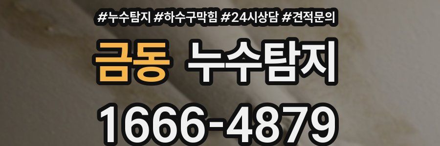 누수탐지