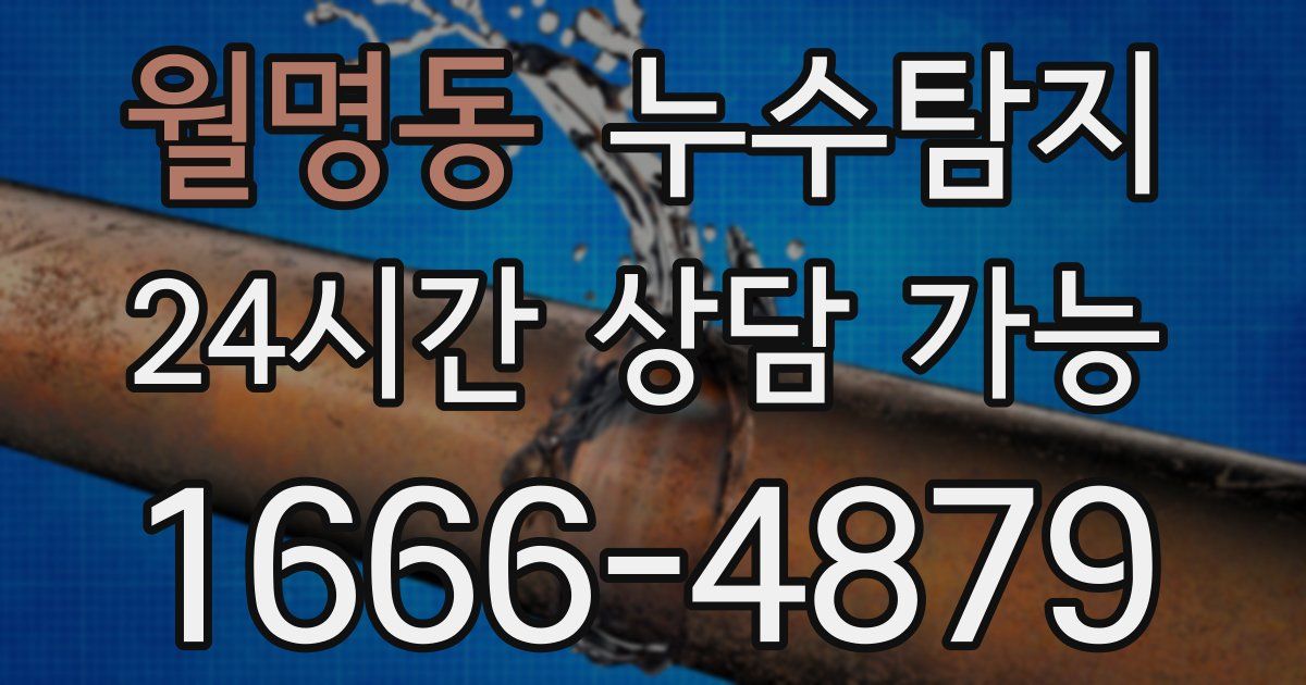 월명동 누수