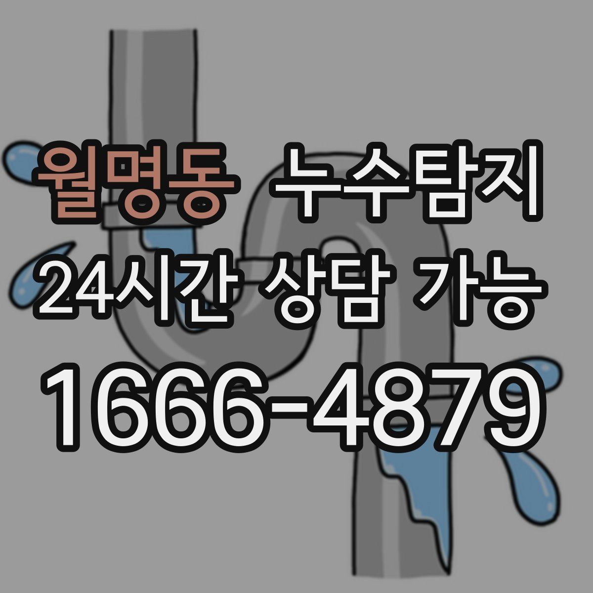 월명동 누수탐지