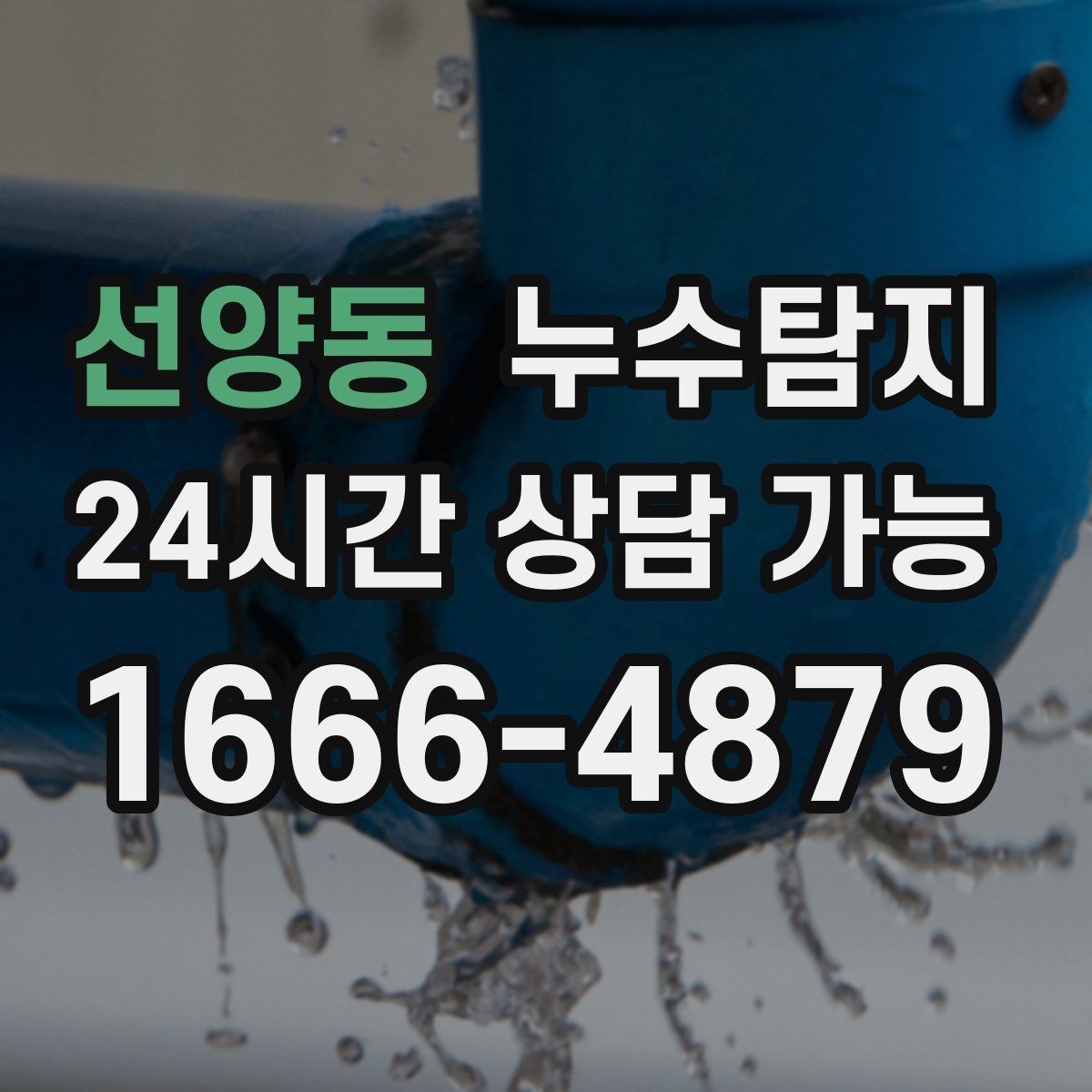 선양동 누수탐지