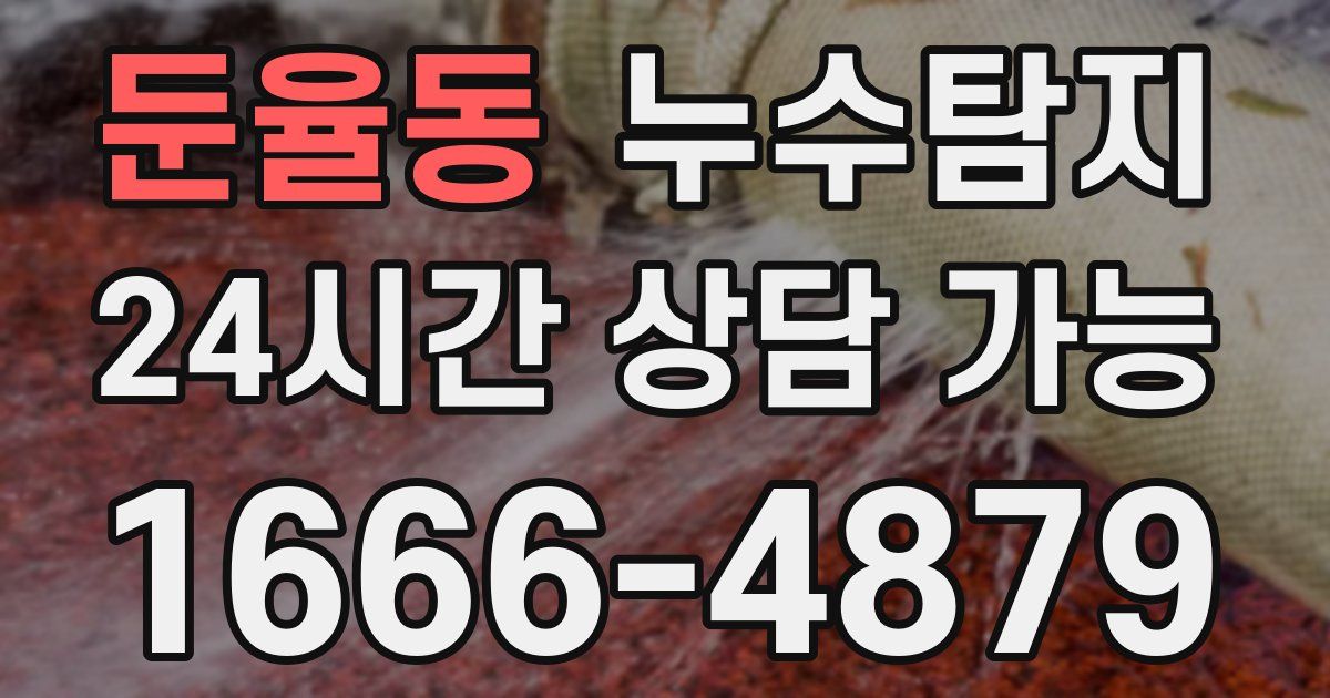 둔율동 누수