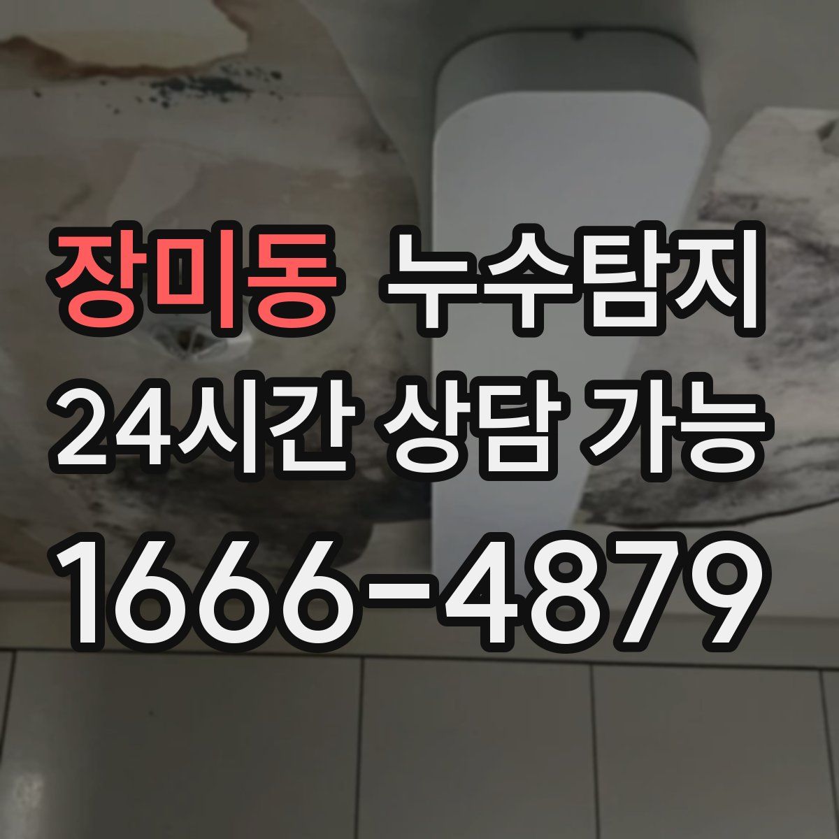 장미동 누수탐지