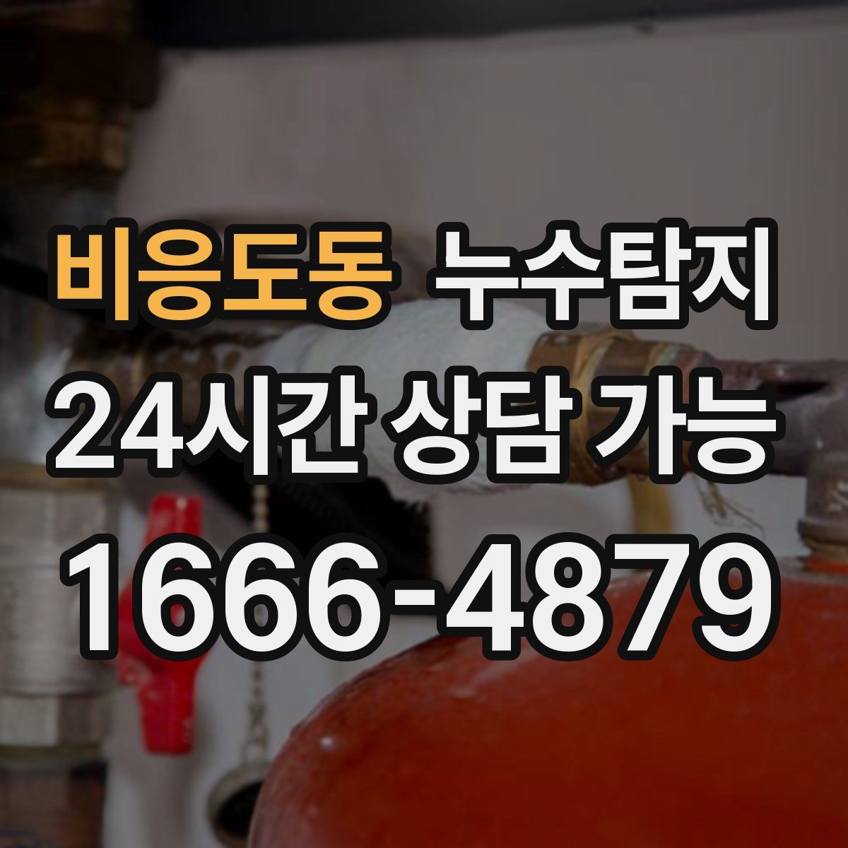비응도동 누수탐지