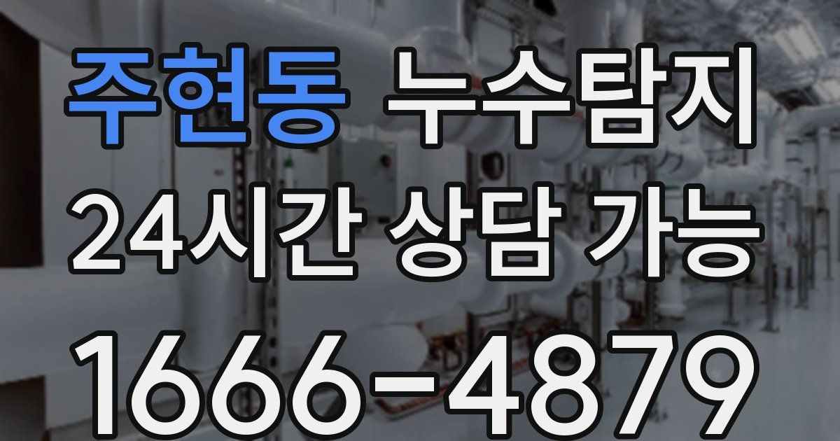 주현동 누수