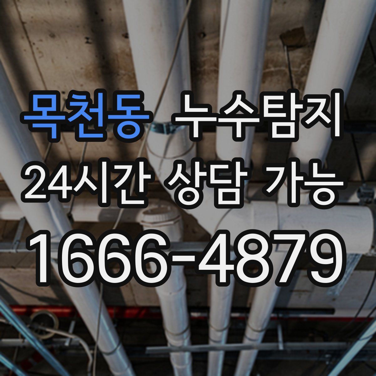 목천동 누수탐지