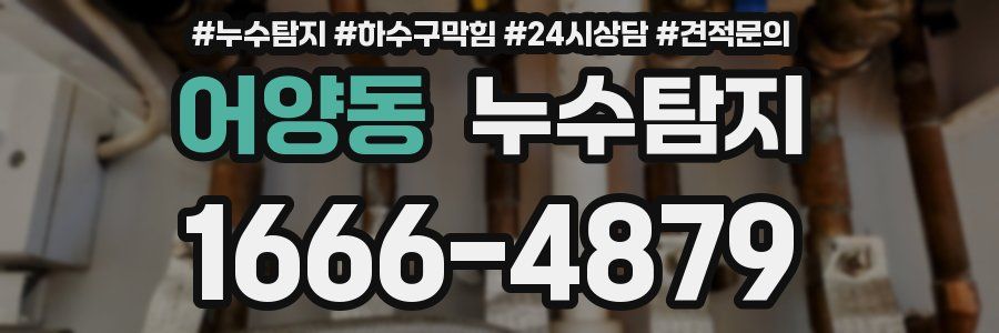 누수탐지