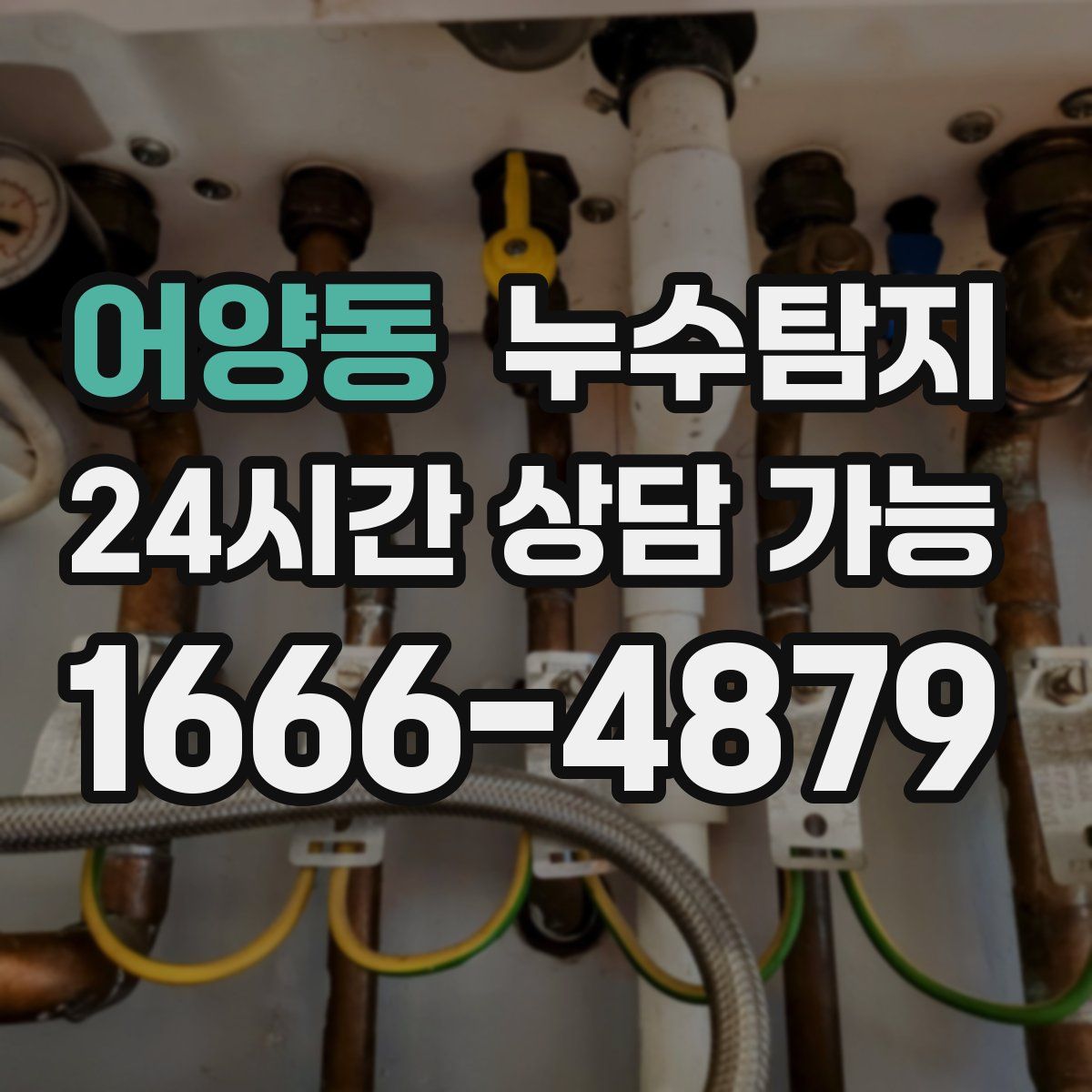 어양동 누수탐지