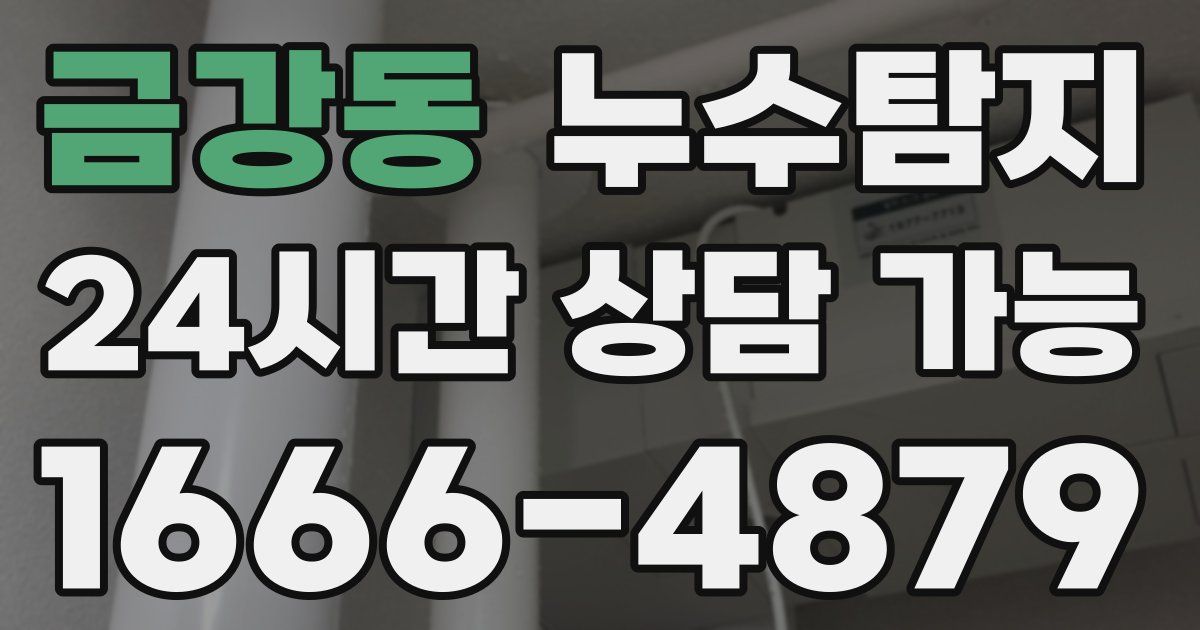 금강동 누수