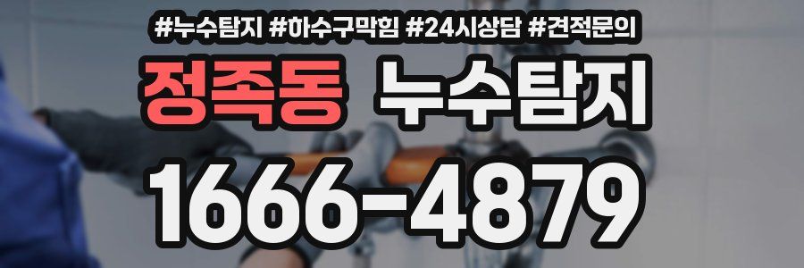 누수탐지