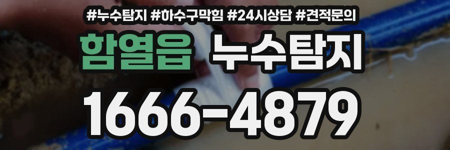 누수탐지