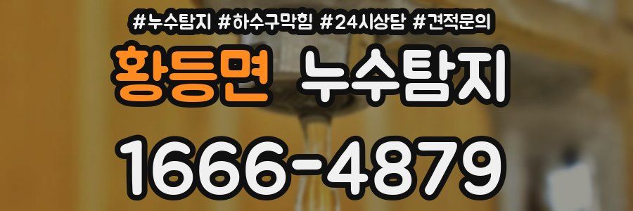 누수탐지