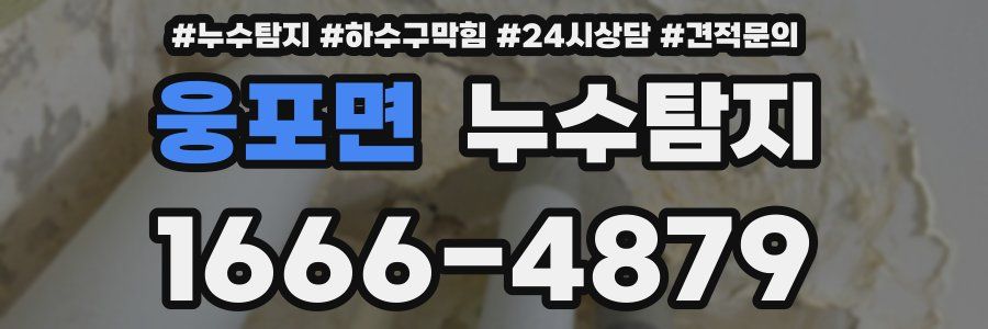 누수탐지