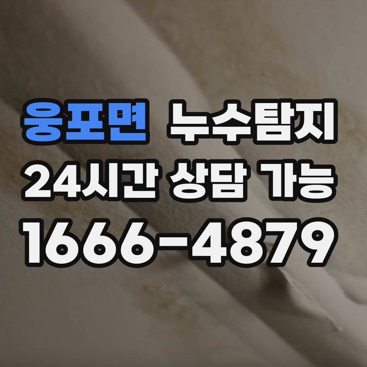 웅포면 누수탐지