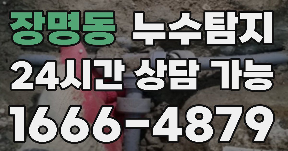 장명동 누수