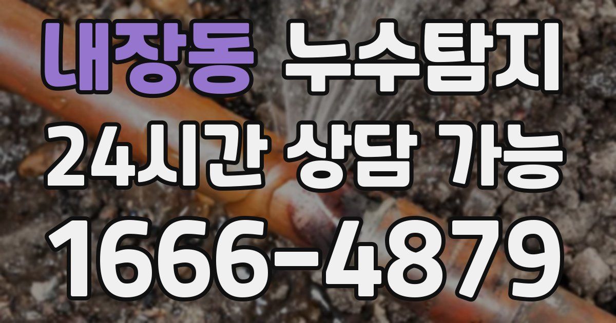 내장동 누수
