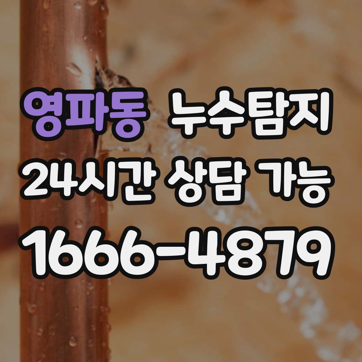 영파동 누수탐지