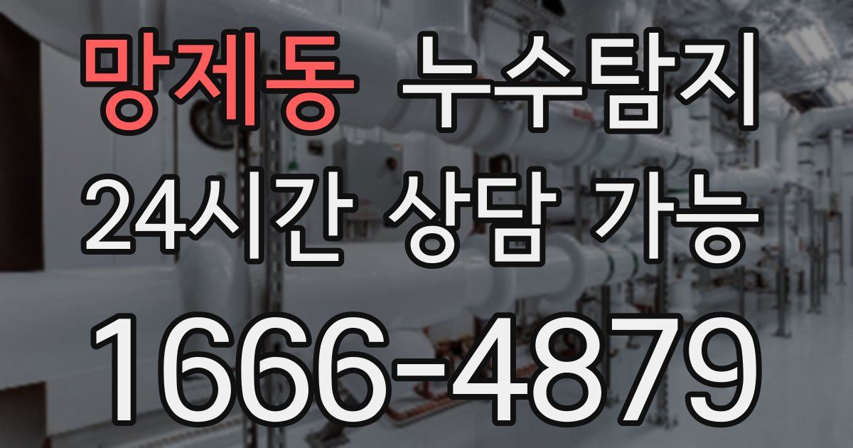 망제동 누수