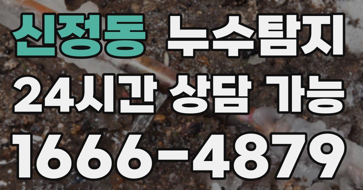 신정동 누수