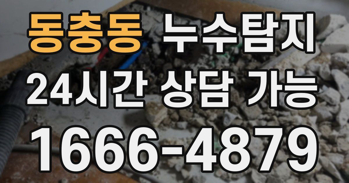 동충동 누수