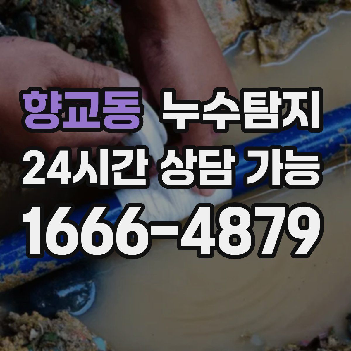 향교동 누수탐지