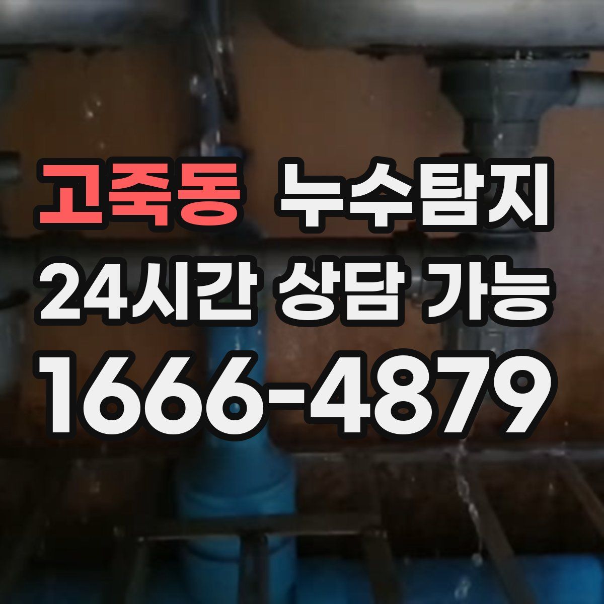 고죽동 누수탐지