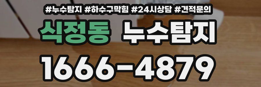 누수탐지