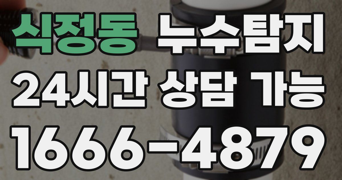 식정동 누수